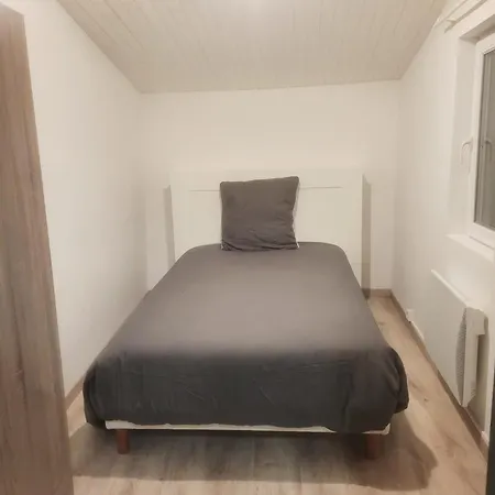 L'observatoire-cite Medievale * 卡尔卡松