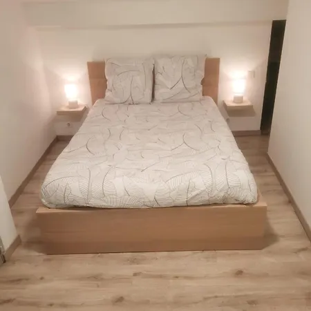 Apartamento L'observatoire-cite Medievale *